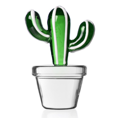 DESERT PLANTS cadeau cactus green
